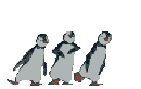 pingoins happy